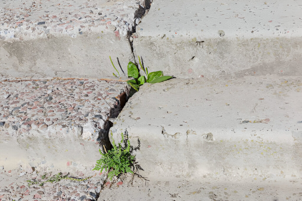 concrete curb repair